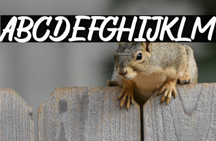 The Wild Chaos Distressed Demo Example 3