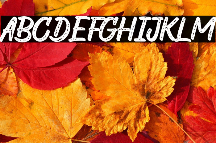 The Wild Chaos Stamped Demo Ver Example 2