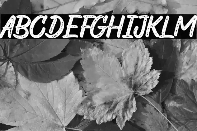 The Wild Chaos Stamped Demo Ver Font examples