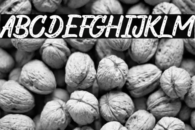 The Wild Chaos Stamped Demo Ver Font examples