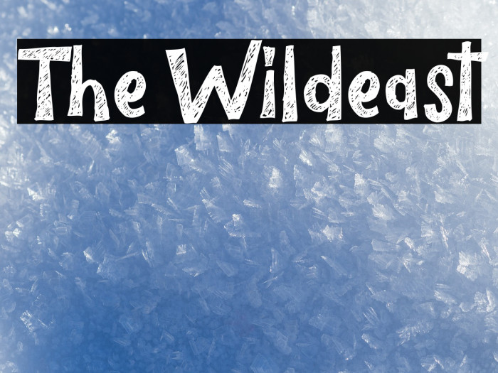 The Wildeast Font examples