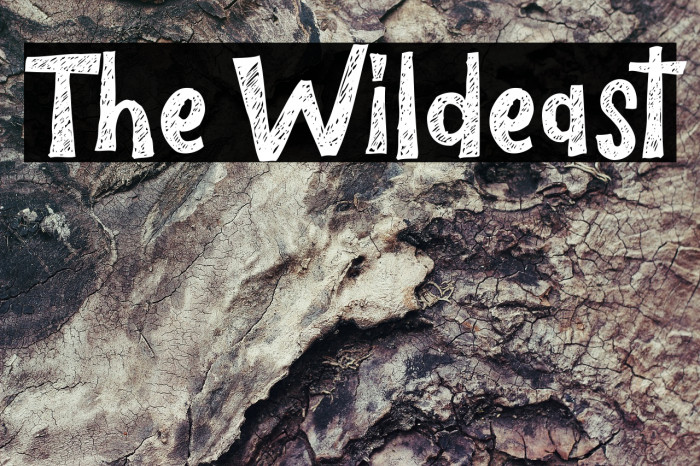The Wildeast Font examples