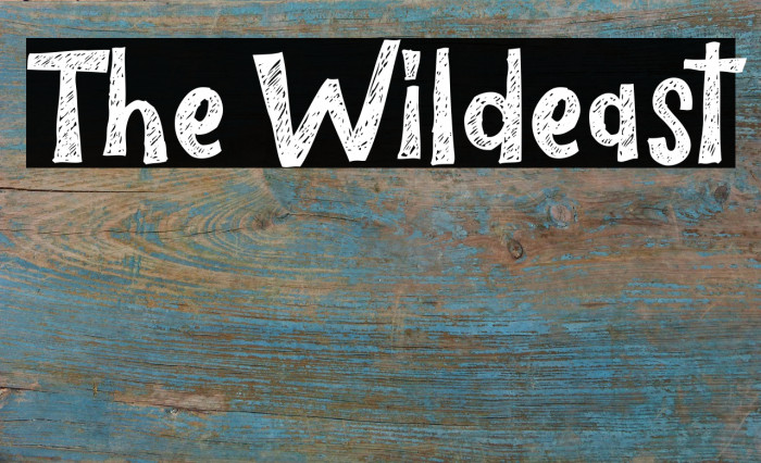 The Wildeast Font examples