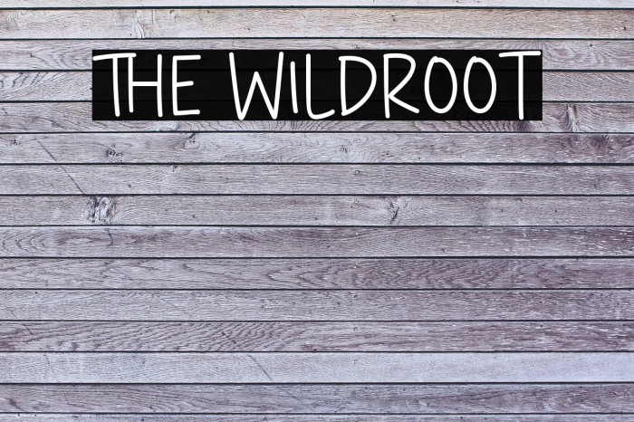 The Wildroot Example 2