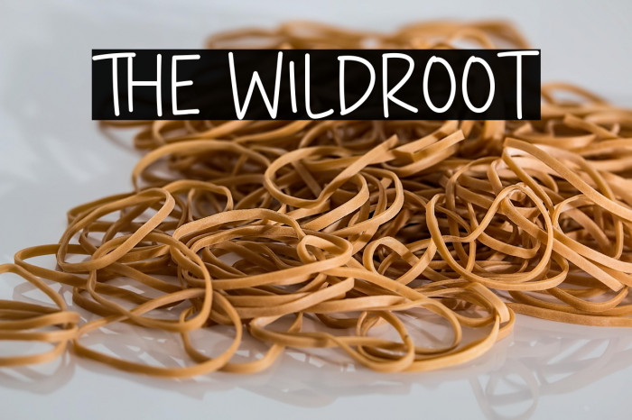 The Wildroot Example 3