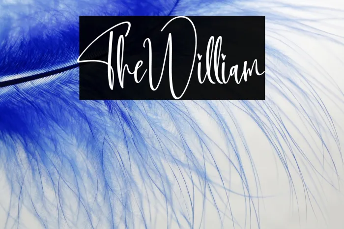 The William Example 1