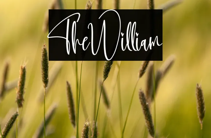 The William Example 3