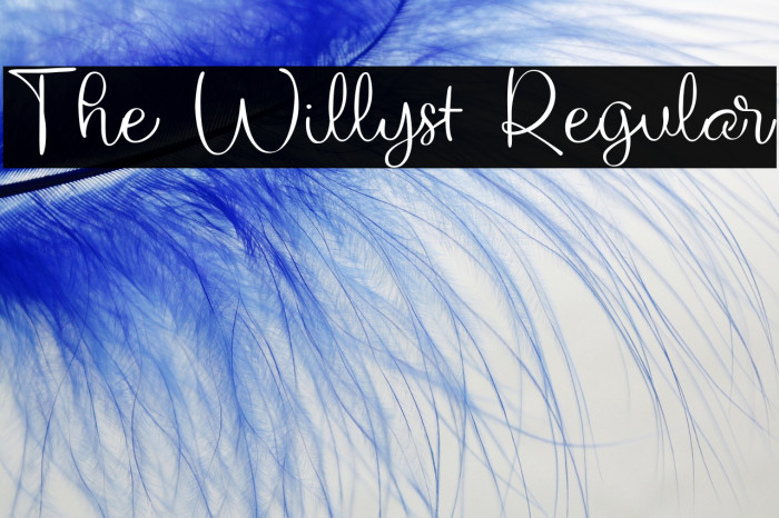 The Willyst Regular Example 1