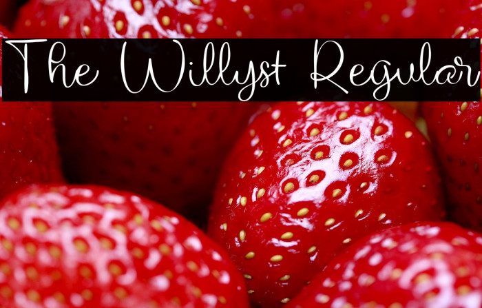 The Willyst Regular Example 3