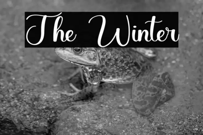 The Winter Font examples