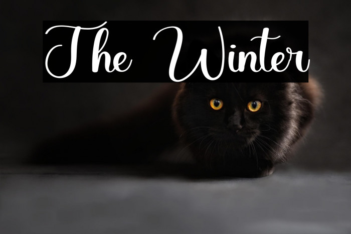 The Winter Example 2