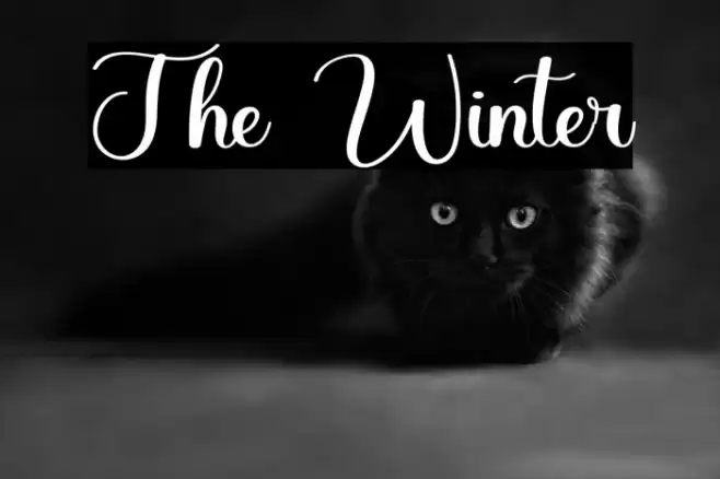 The Winter Font examples