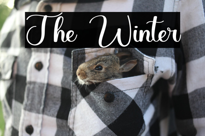 The Winter Example 3