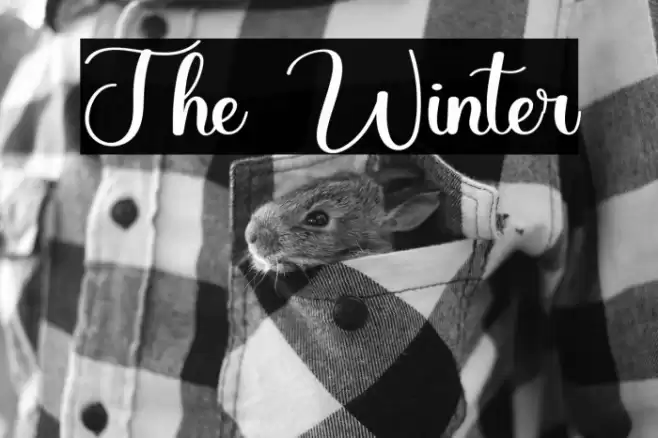 The Winter Font examples