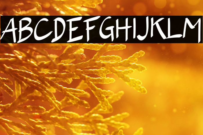 The Wolfflin Example 2