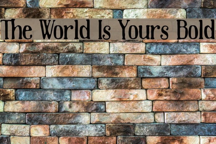 The World Is Yours Bold Font examples