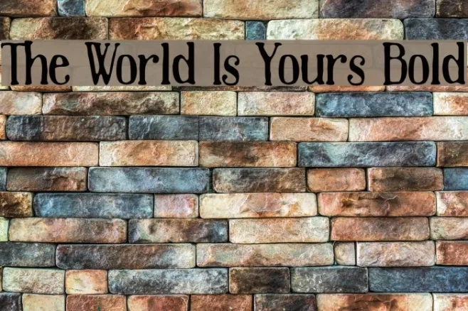 The World Is Yours Bold Example 1