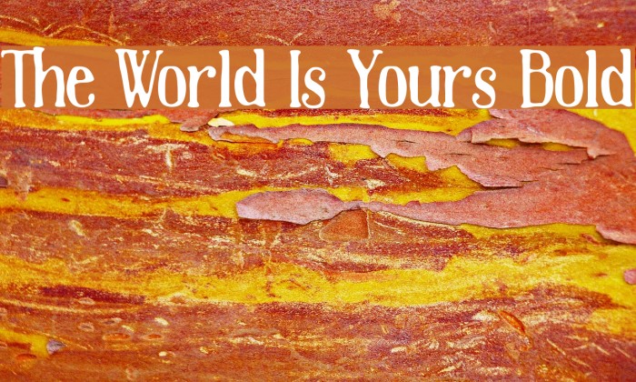 The World Is Yours Bold Font examples