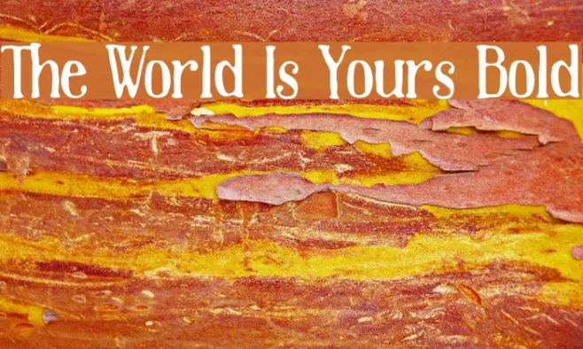 The World Is Yours Bold Example 2