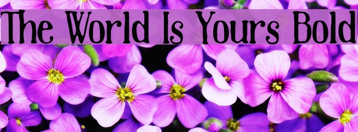 The World Is Yours Bold Font examples