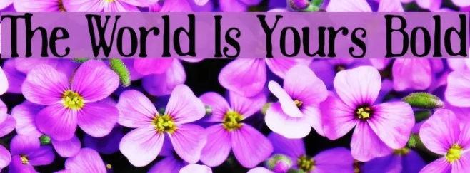 The World Is Yours Bold Example 3