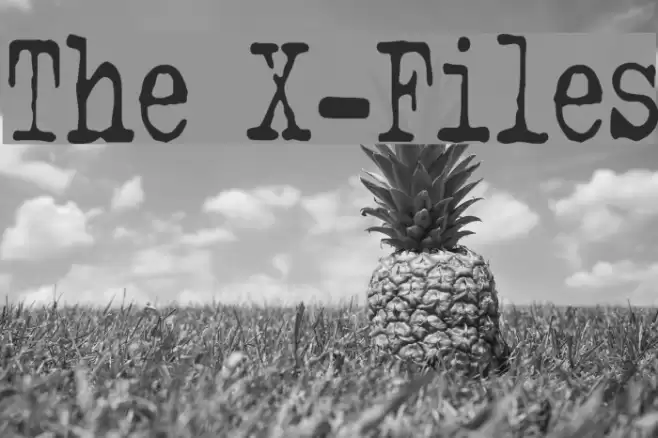 The X-Files Polices examples