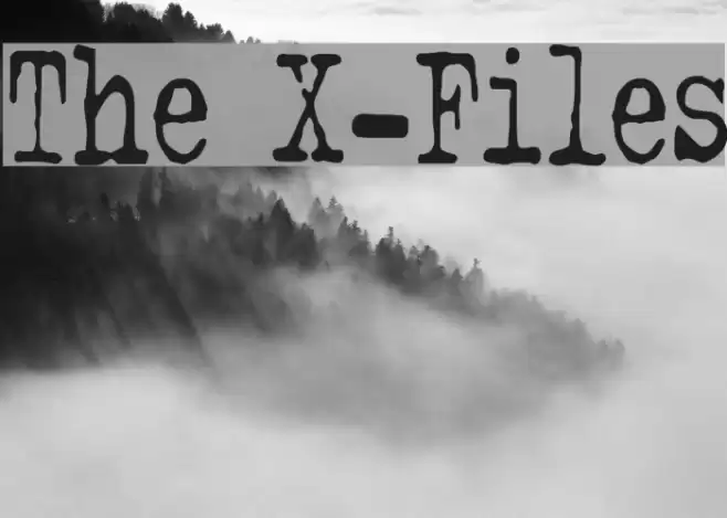 The X-Files Polices examples