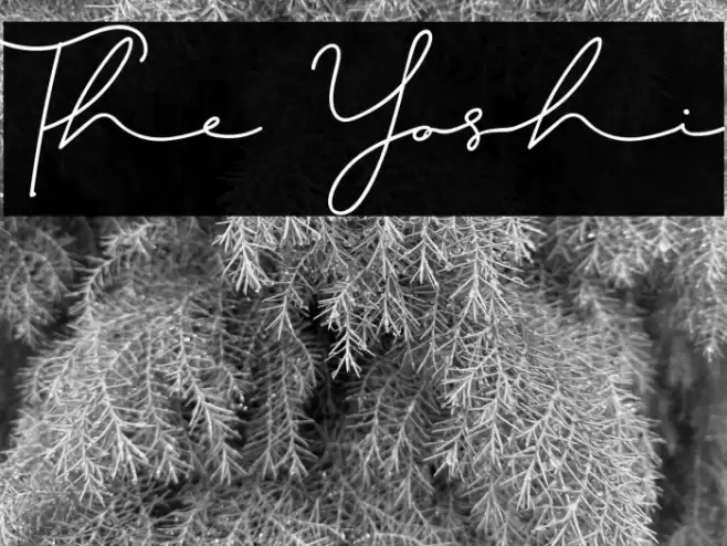 The Yoshi Font examples