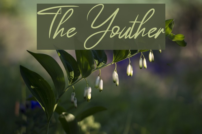 The Youther Example 3