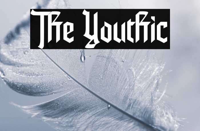 The Youthic Example 3