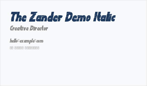 The Zander Demo Italic Business Card
