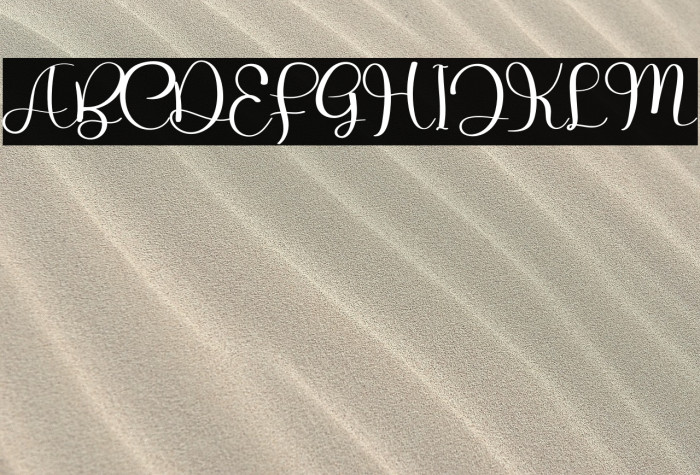 The Zombie Example 1