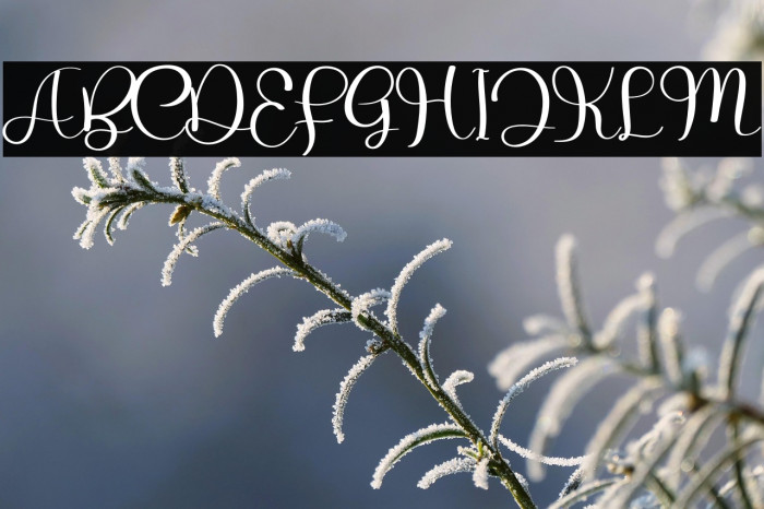 The Zombie Example 2