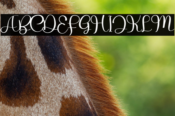 The Zombie Example 3