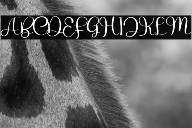 The Zombie Font examples