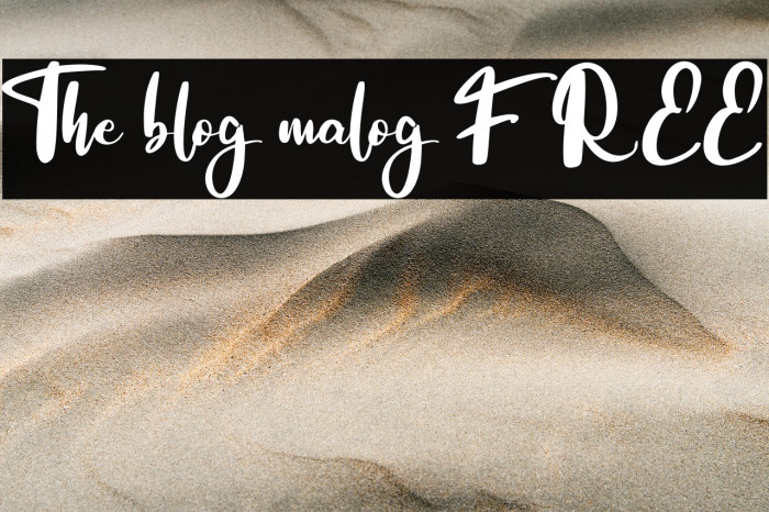 The blog malog FREE Example 2