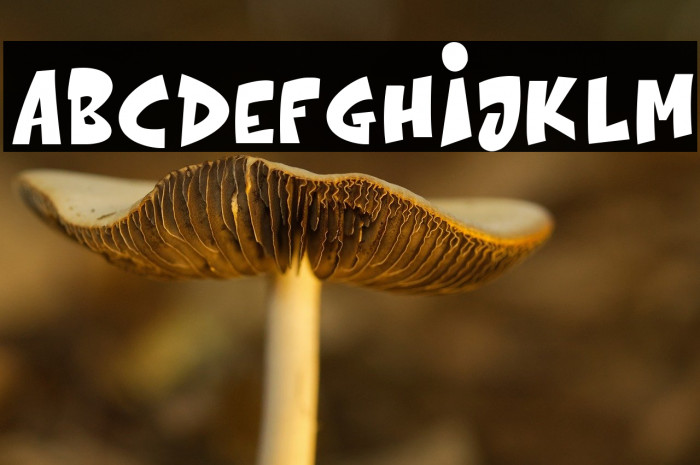 The bolder shadow Example 1