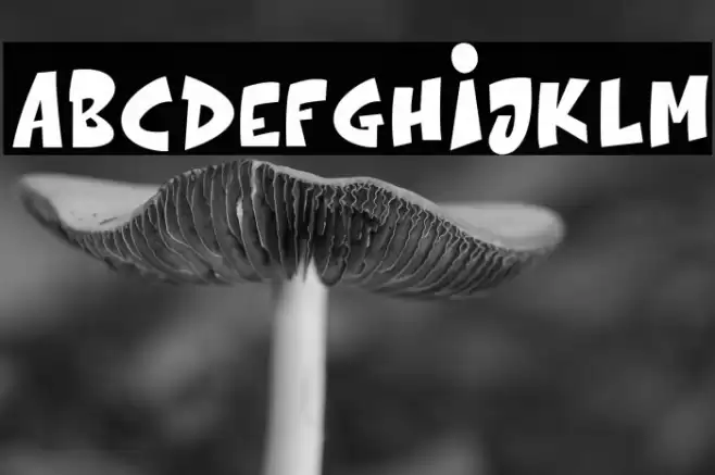 The bolder shadow Font examples