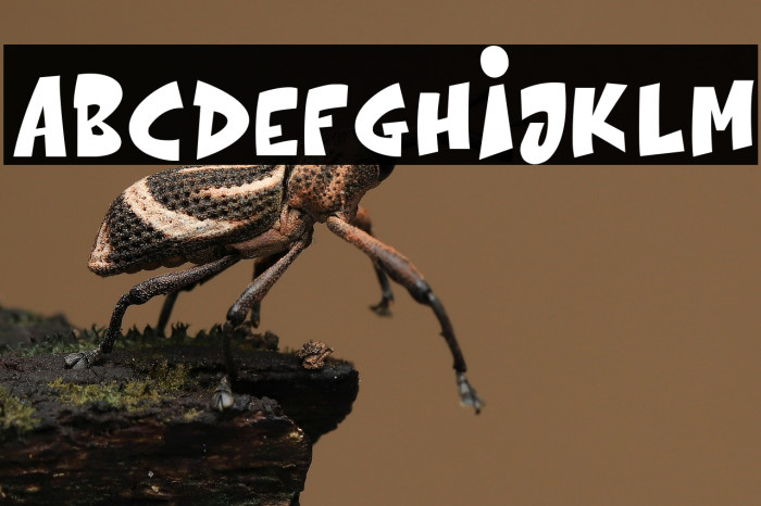 The bolder shadow Example 2