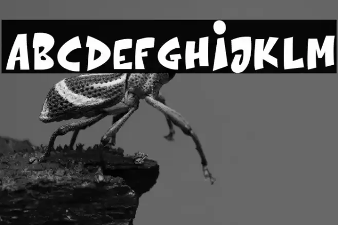 The bolder shadow Font examples