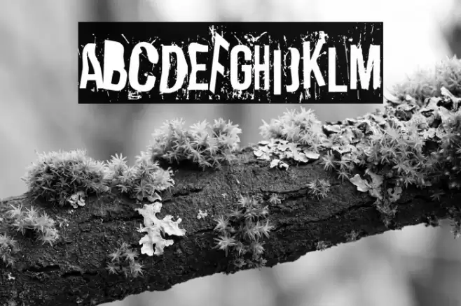 The end of work day Font examples