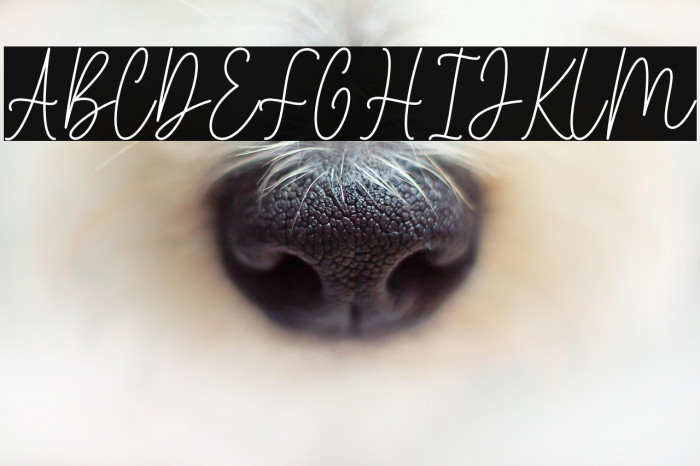 The ending Example 2