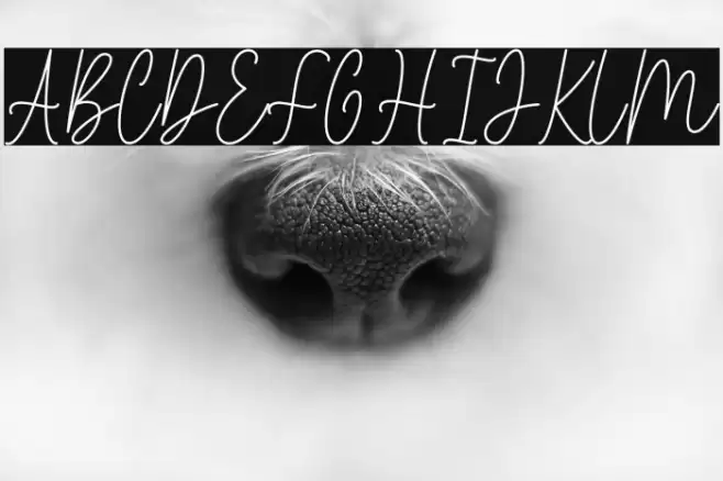 The ending خط examples