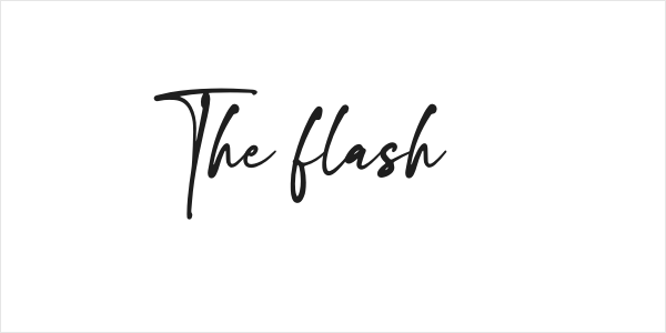 The flash Logo