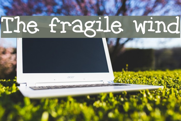 The fragile wind Font examples