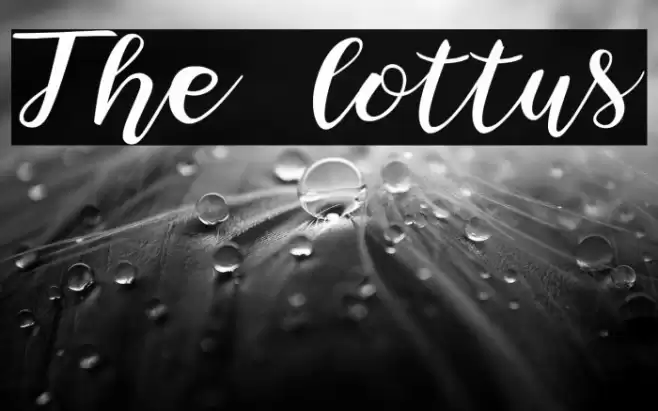 The lottus Font examples