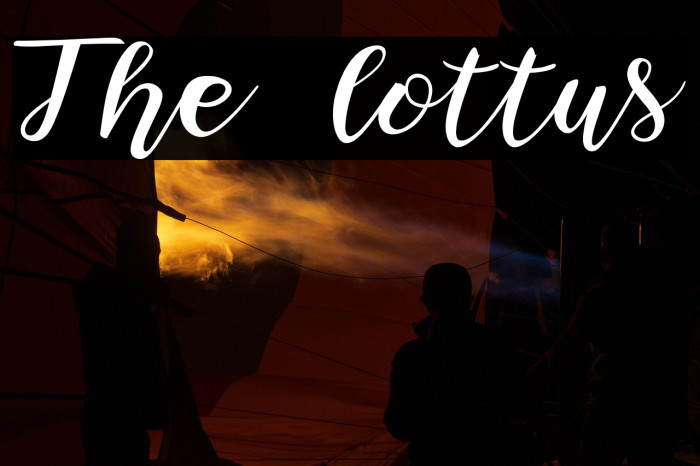 The lottus Example 2