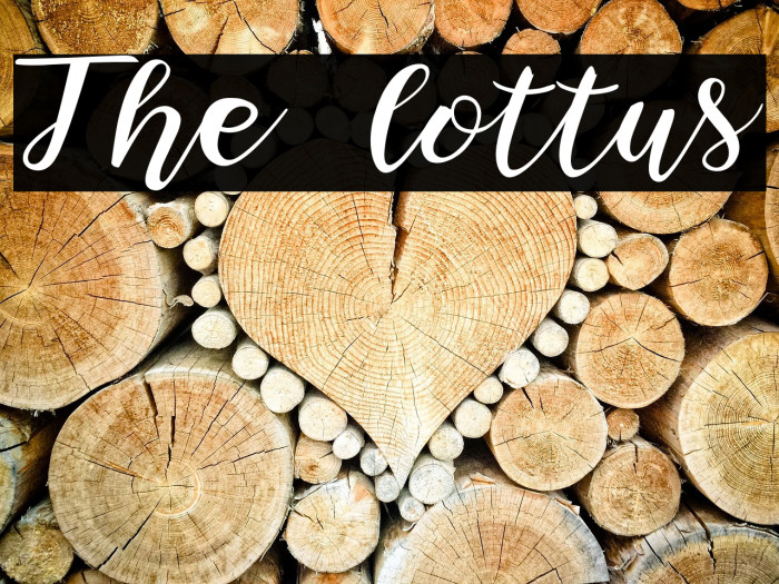 The lottus Example 3