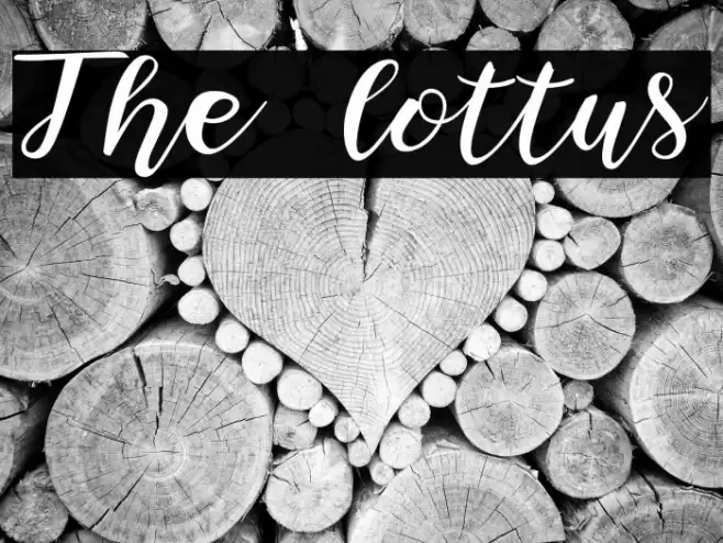 The lottus Font examples