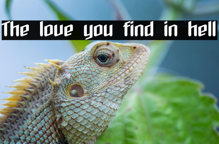 The love you find in hell Example 1